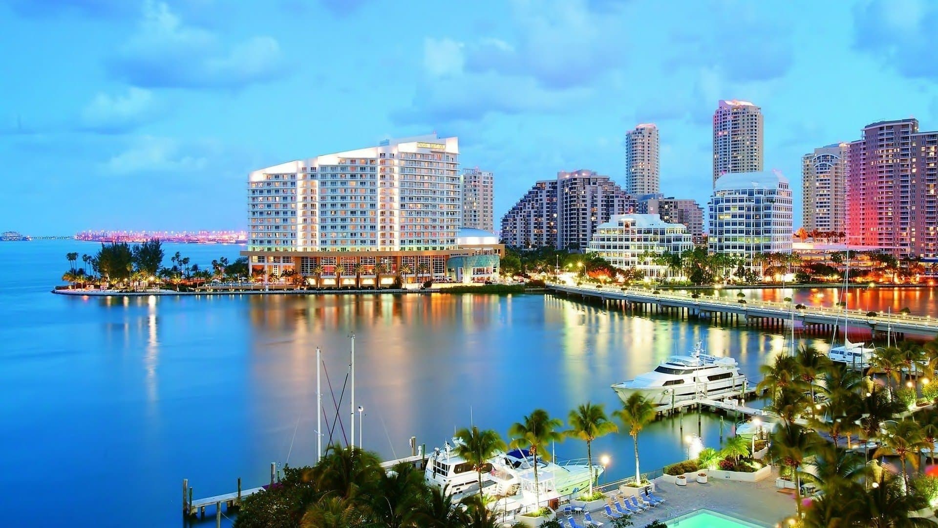 Miami waterfront skyline at twilight, marina with yachts and palm trees in the foreground